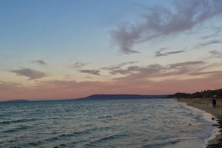 IMG_4735.jpg